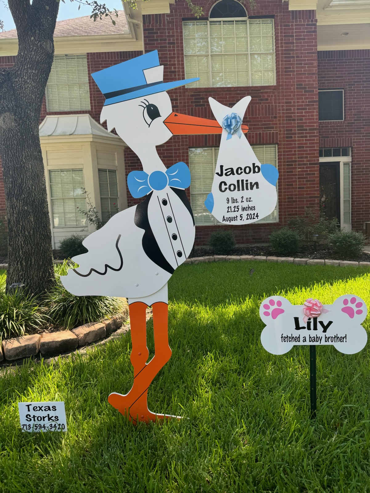 New Baby Announcement Yard Sign in Houston, Texas