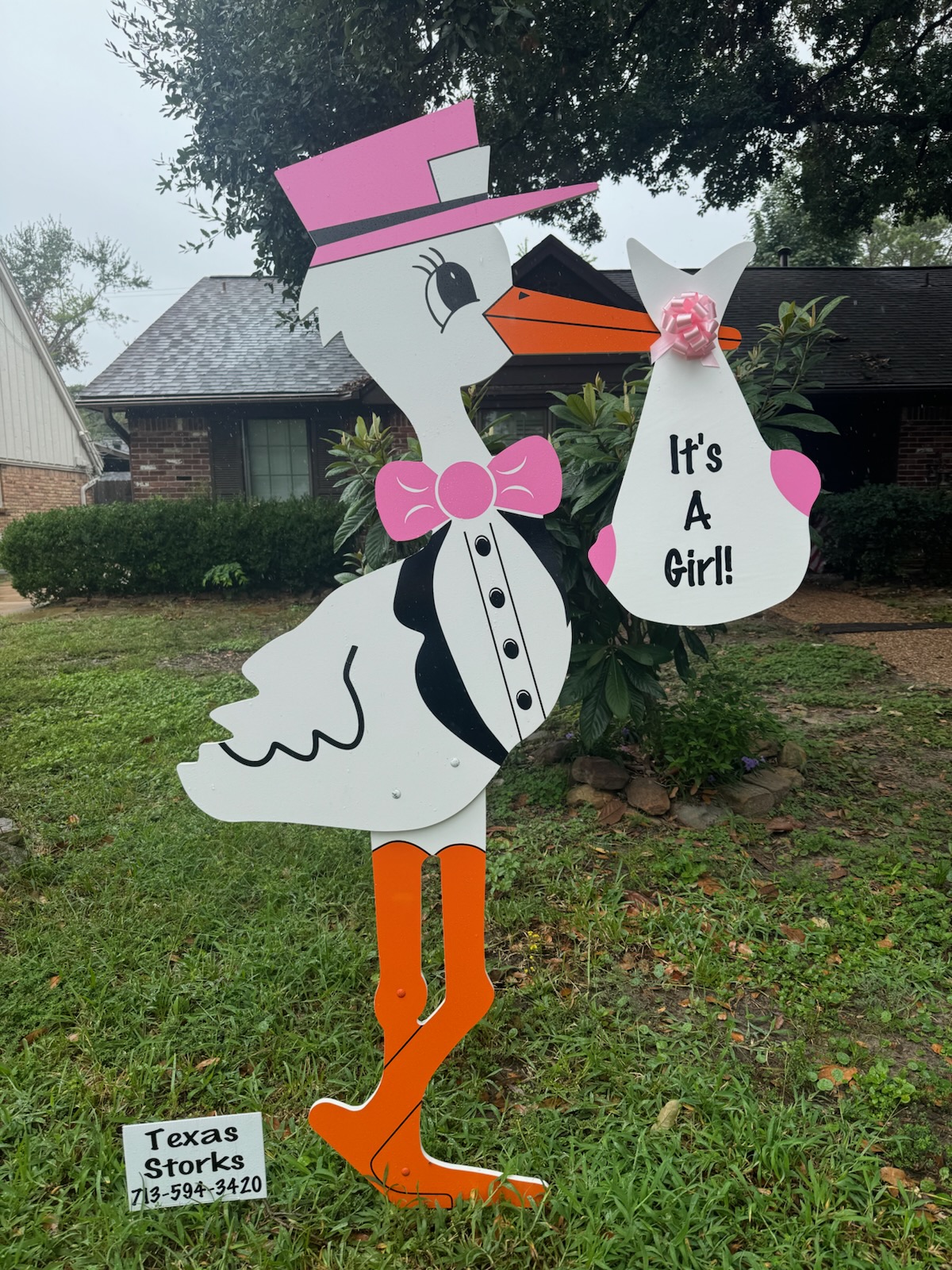 New Baby Announcement Yard Sign in Oak Forest, Texas