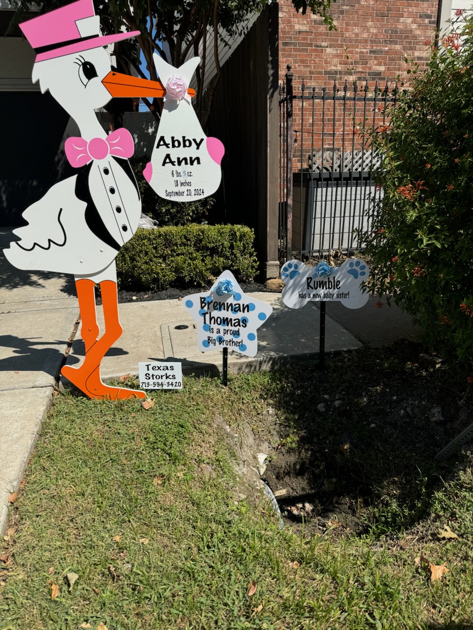 New Baby Announcement Yard Sign in Houston, Texas