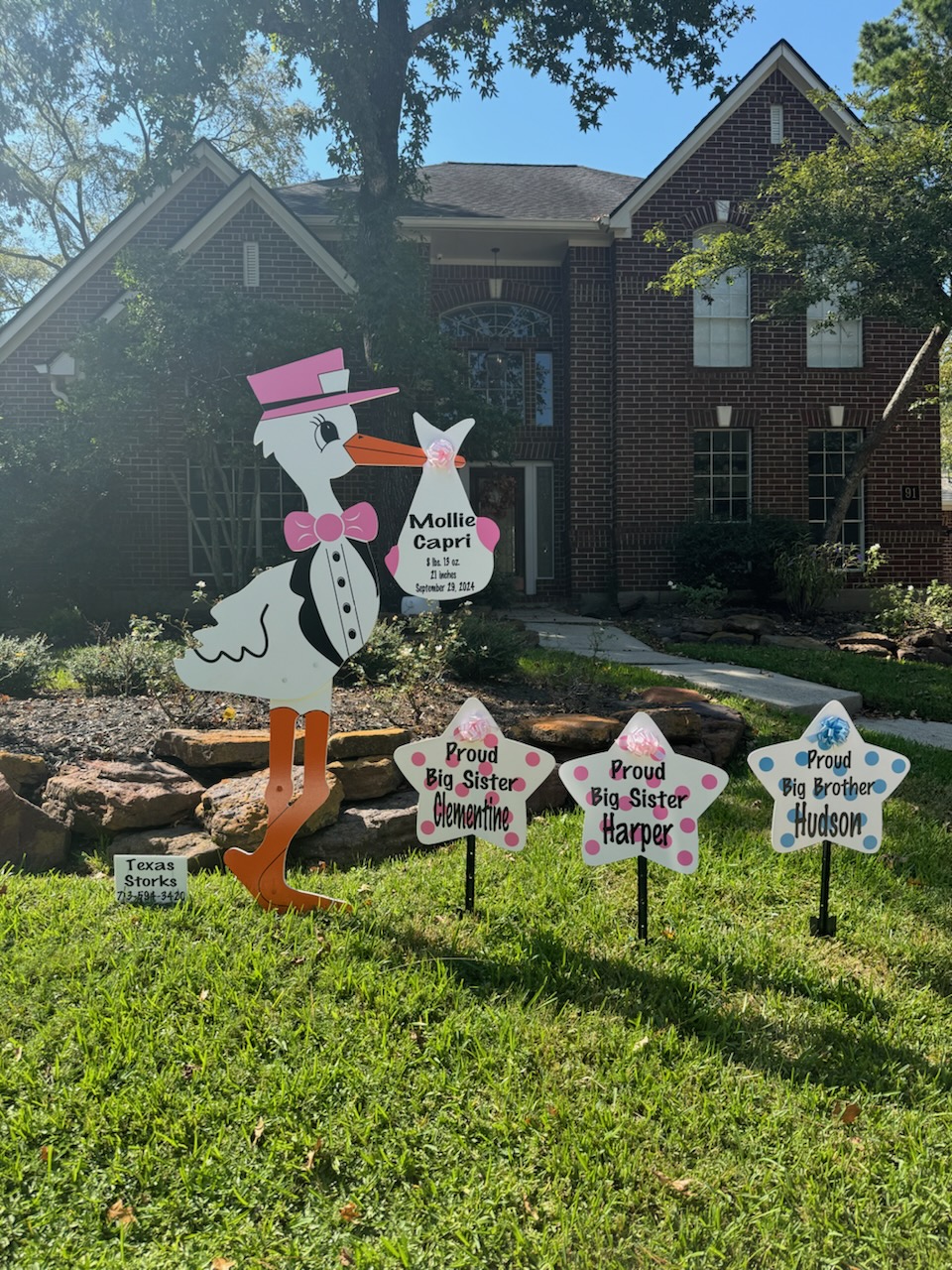 New Baby Announcement Yard Sign in The Woodlands, Texas