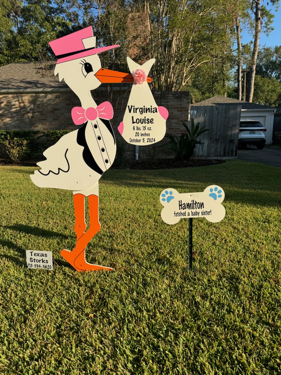 New Baby Announcement Yard Sign in Briar Grove, Texas